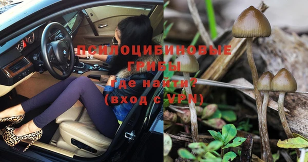 экстази Новозыбков