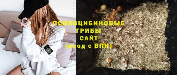 прущие крисы Няндома