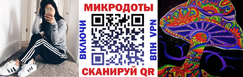 Галлюциногенные грибы Psilocybe  Руза 